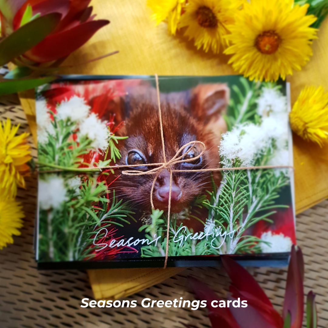 Calendar and Greeting cards Bundle!