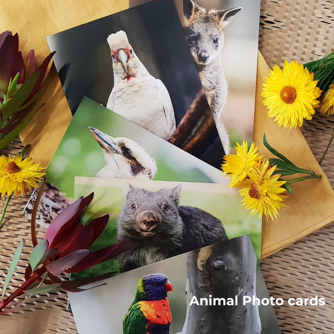 Calendar and Greeting cards Bundle!