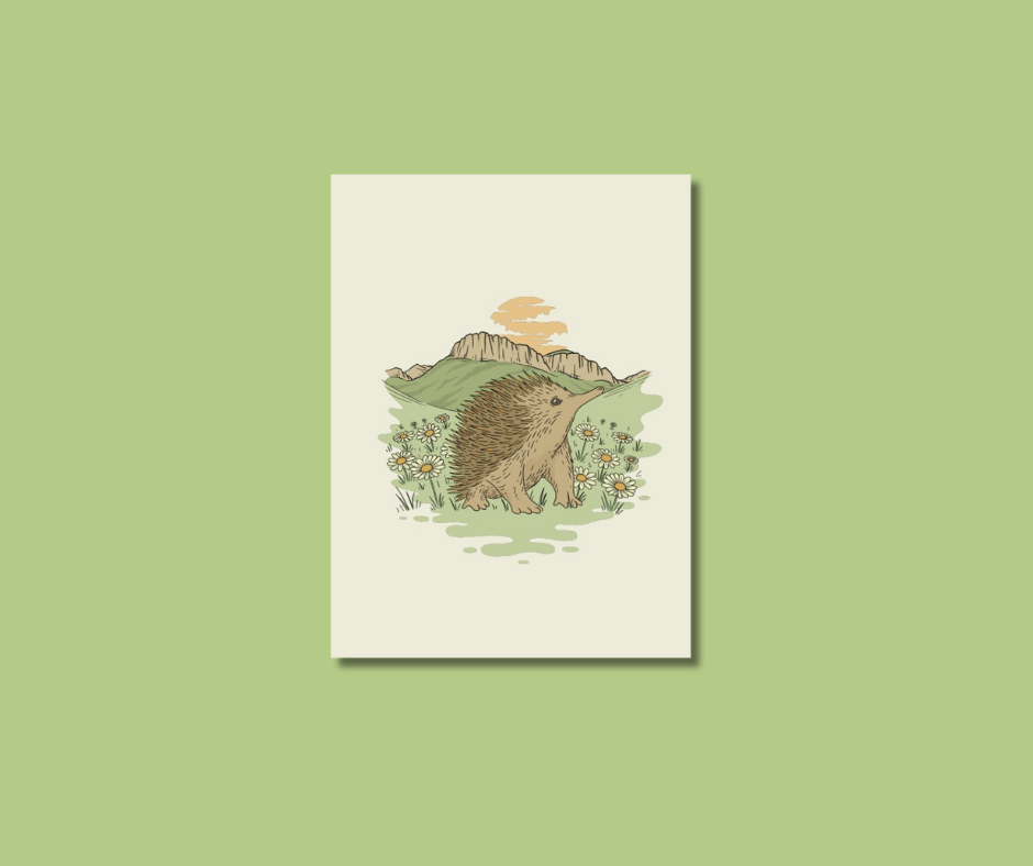 Greeting cards - illustrated - 6 pack