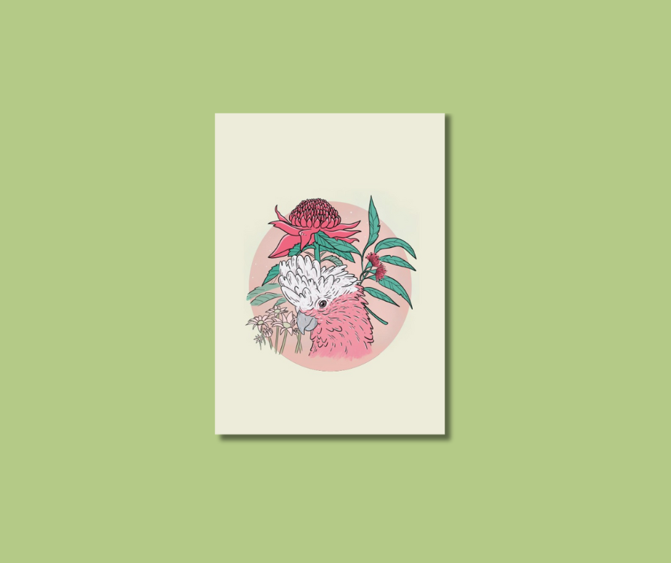 Greeting cards - illustrated - 6 pack