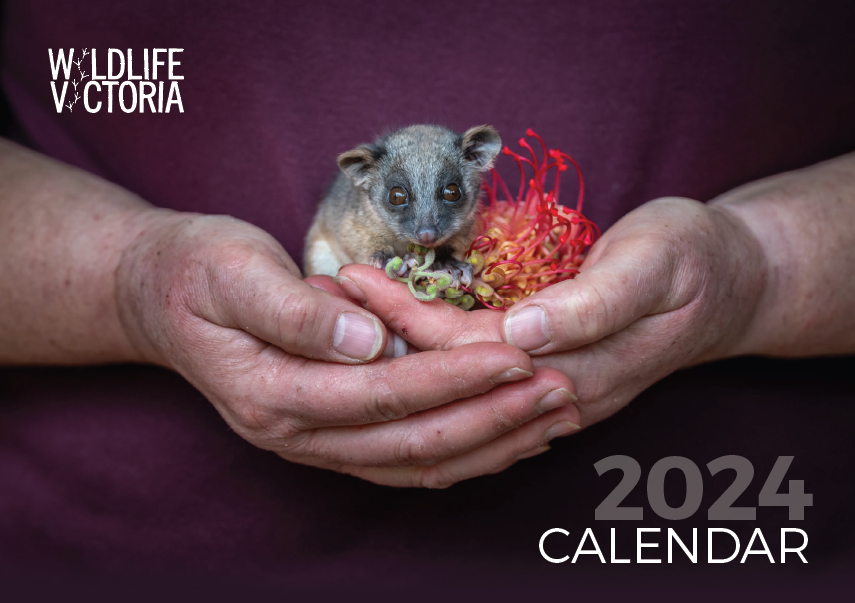 2024 Calendar