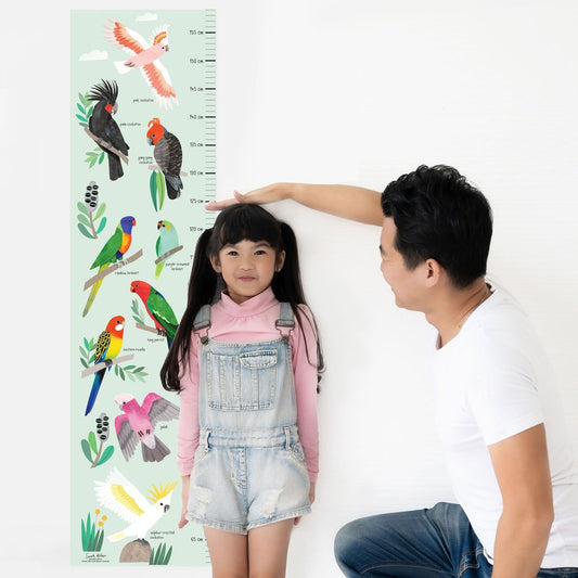 Australian Parrot Height Chart by Sarah Allen