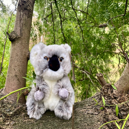 Plush Milo the Koala Lil' Friends
