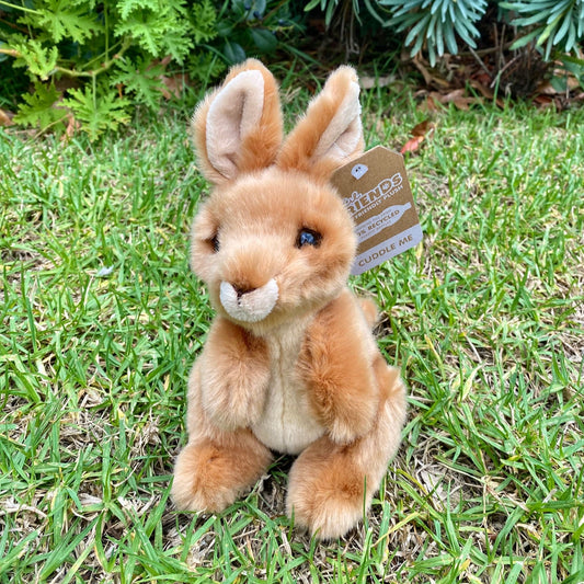 Plush Zooper the Kangaroo Lil' Friends