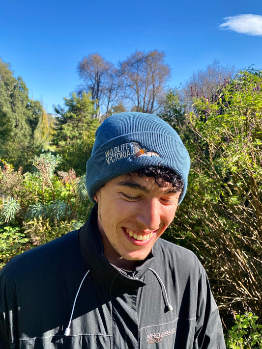 Flying Fox Beanie - Teal