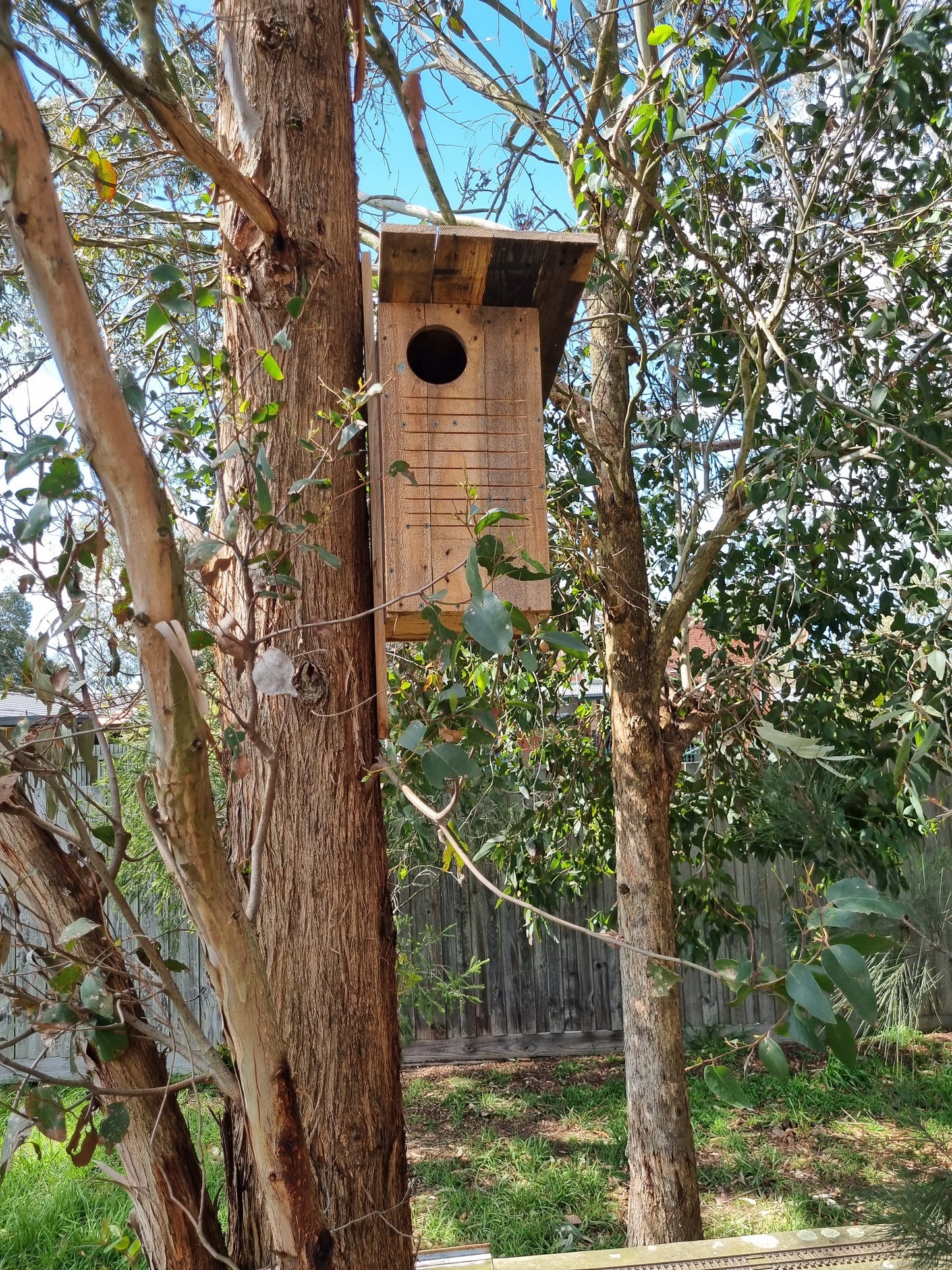 Possum Nesting Box - Self collection from Men's Shed*