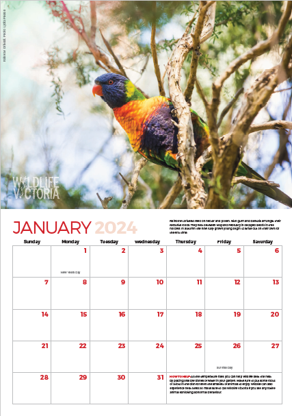 2024 Calendar