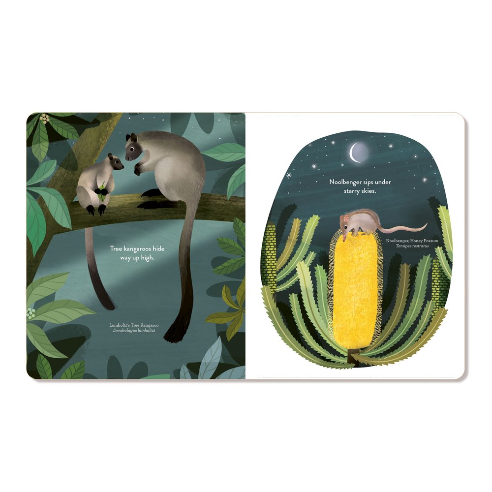 Jumping Joeys by Sarah Allen