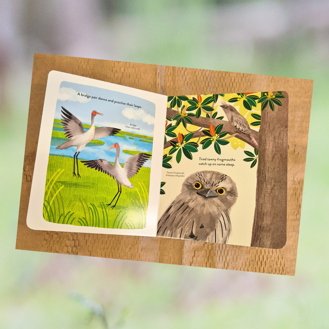 Busy Beaks by Sarah Allen