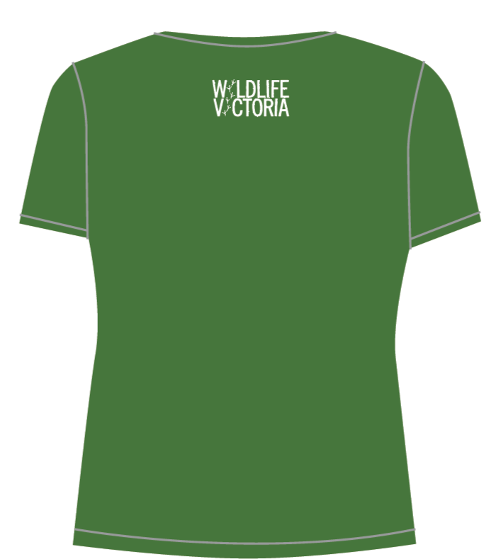 Wildlife Victoria Koala Fairtrade T-shirt - Fitted cut/Women's