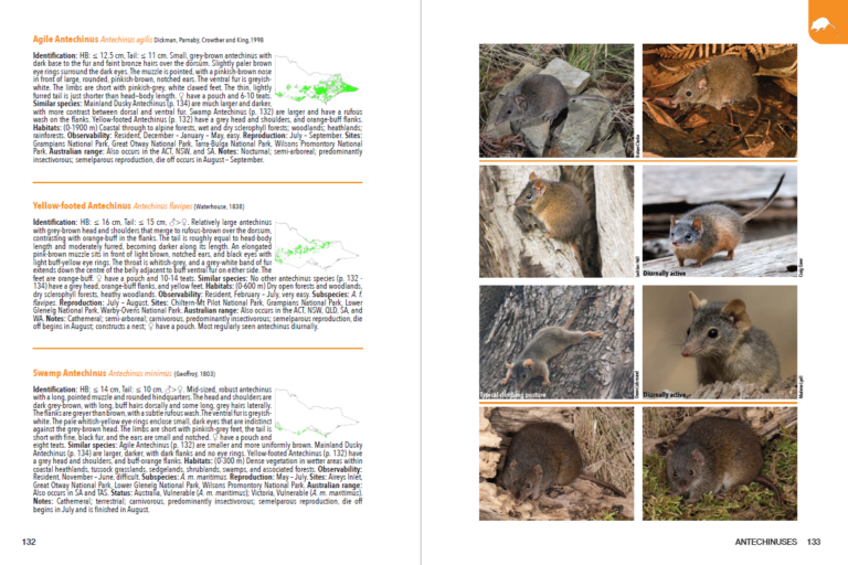The Guide to Victorian Wildlife by Angus McNab