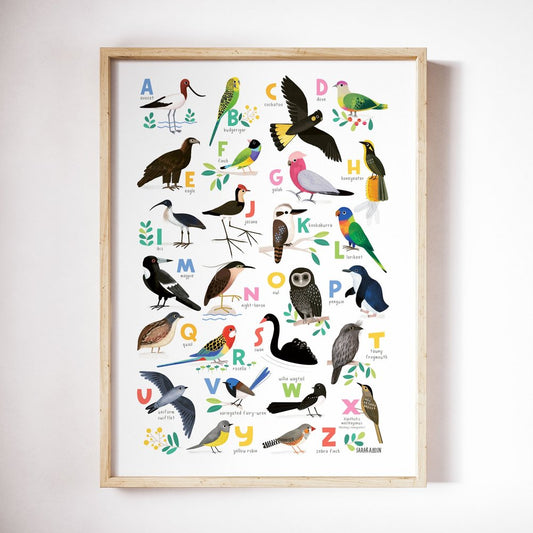 Australia Bird Alphabet poster by Sarah Allen
