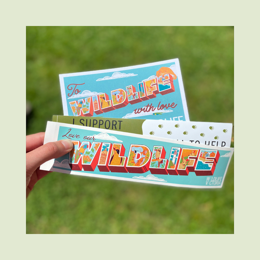 Bumper sticker and postcard pack!