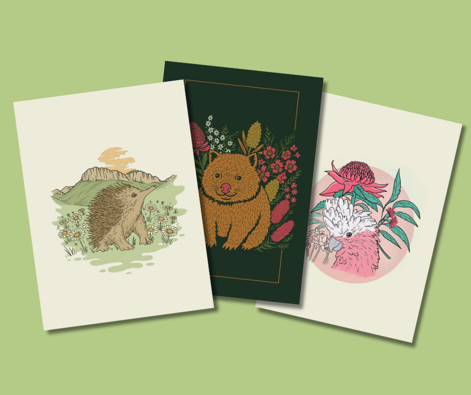 Greeting cards - illustrated - 6 pack