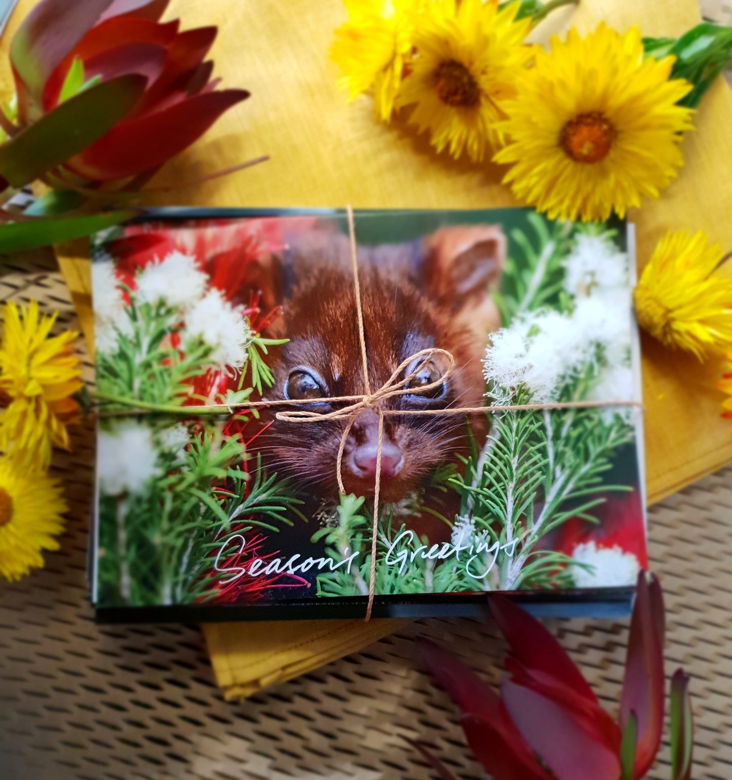 Greeting cards - Seasons Greetings - 10 pack