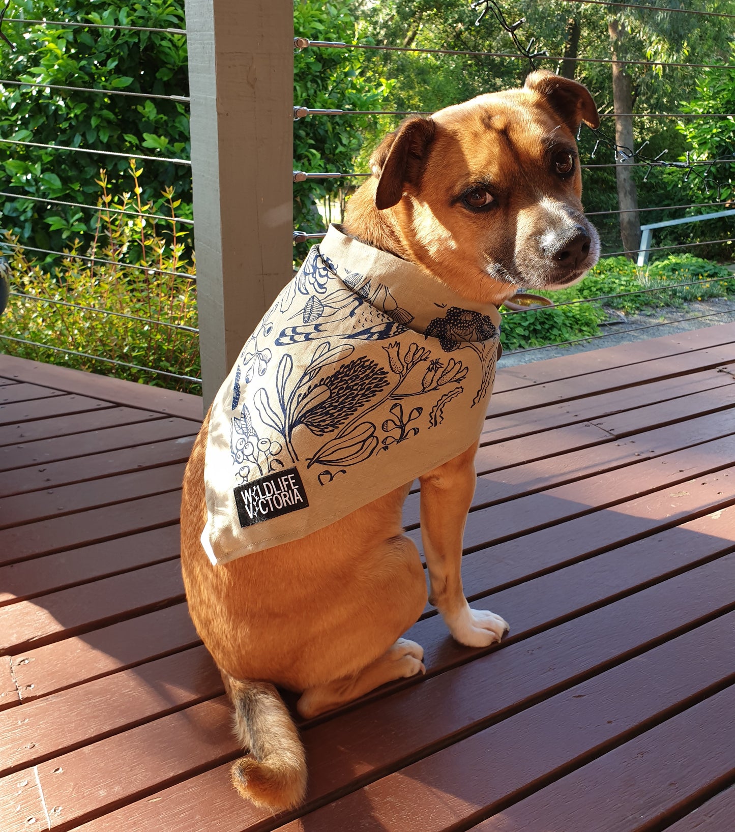 Sample Room X Wildlife Victoria X Ink & Spindle Dog Bandana