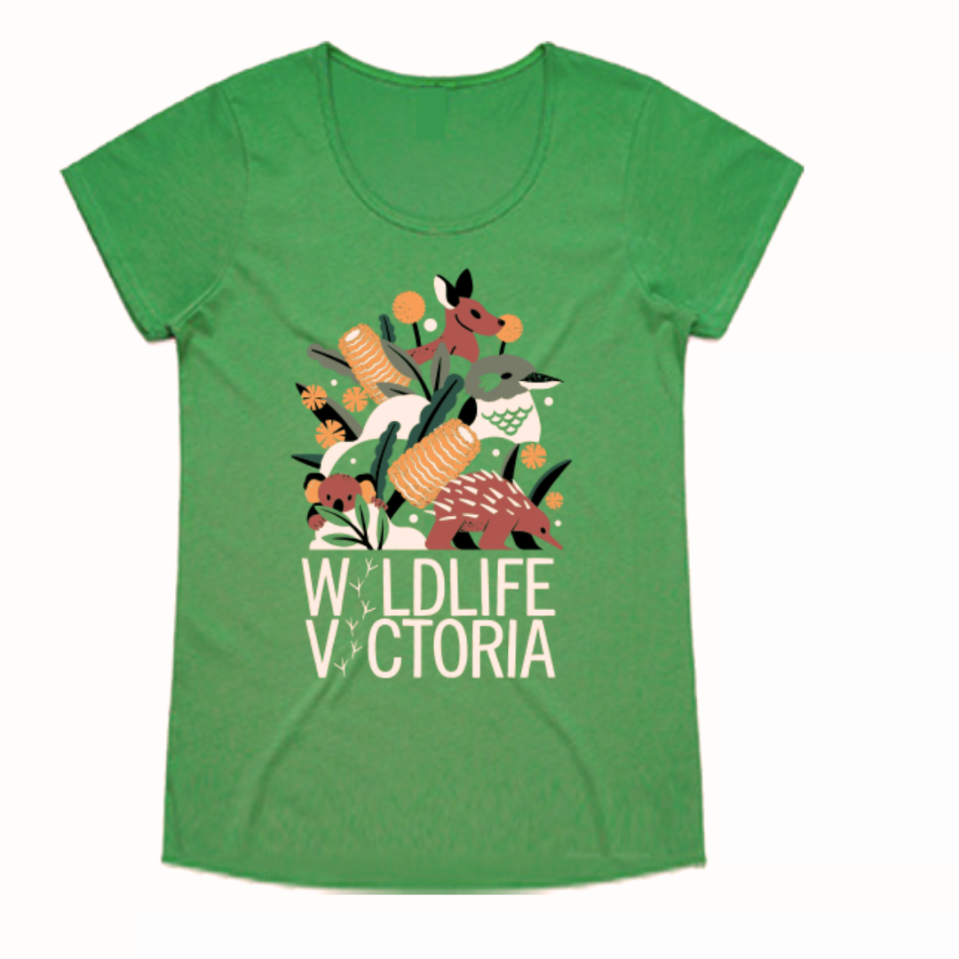 Limited Edition Call of the Wild t-shirt - Fitted cut, Women's sizing