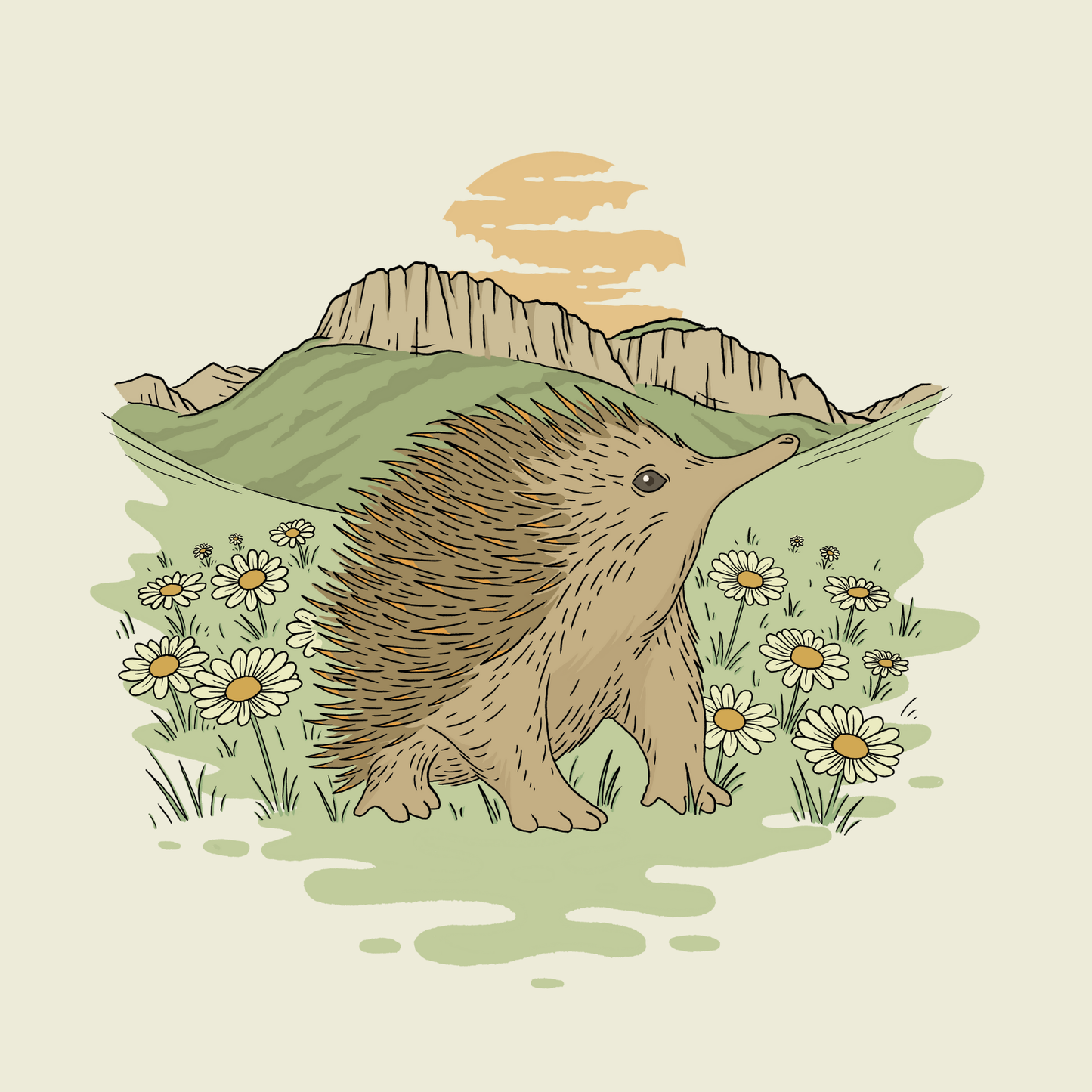 Plantable Greeting Cards - pack of 3