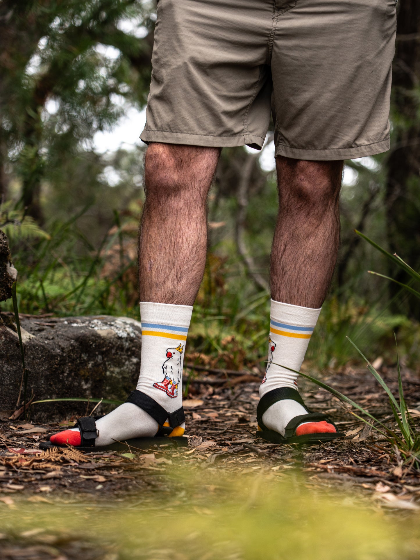 Sockatoos - Cockatoo Socks