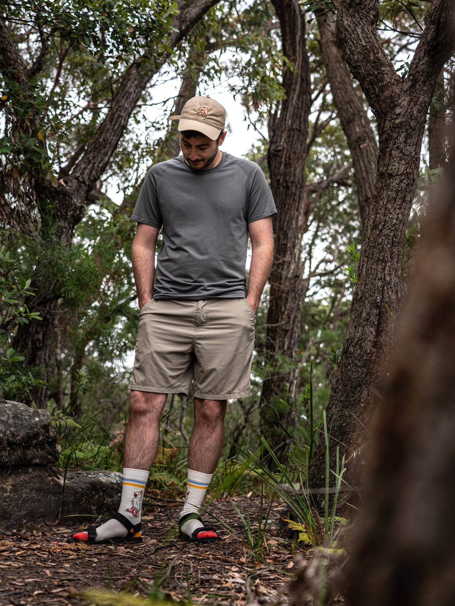 Sockatoos - Cockatoo Socks