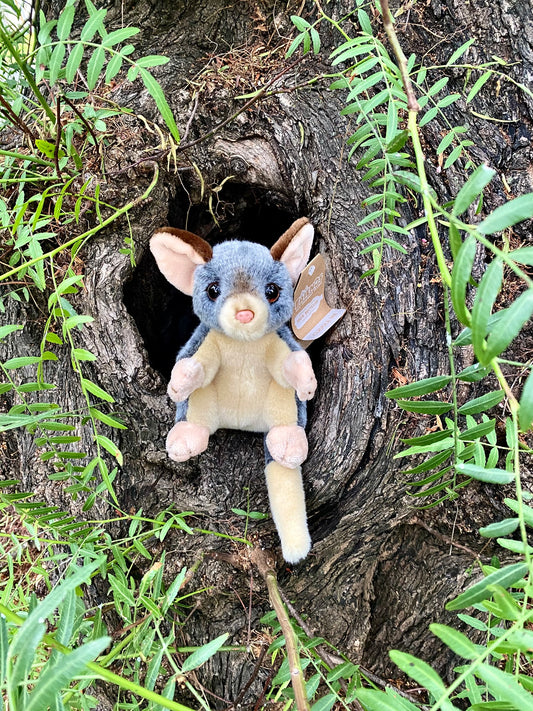Plush Timmy the Ringtail Possum Lil' Friends