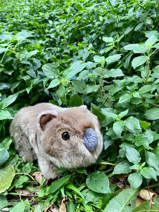 Plush Mintie the Wombat Lil' Friends