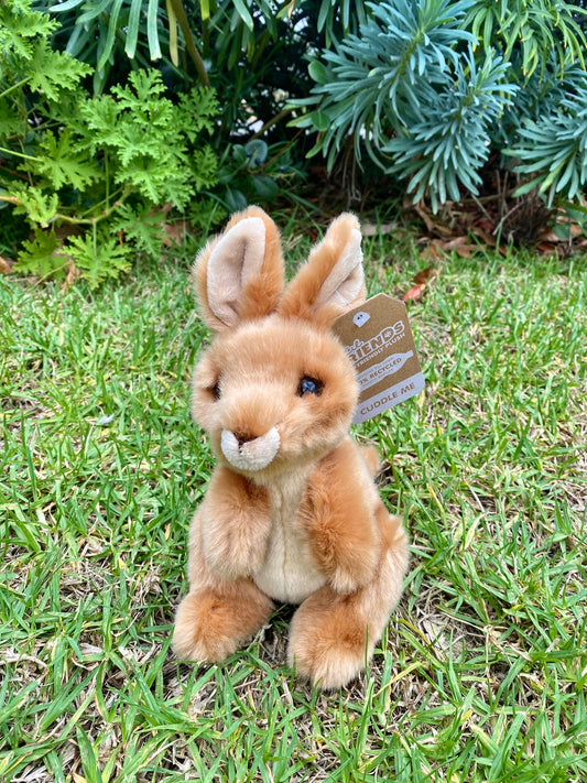 Plush Zooper the Kangaroo Lil' Friends