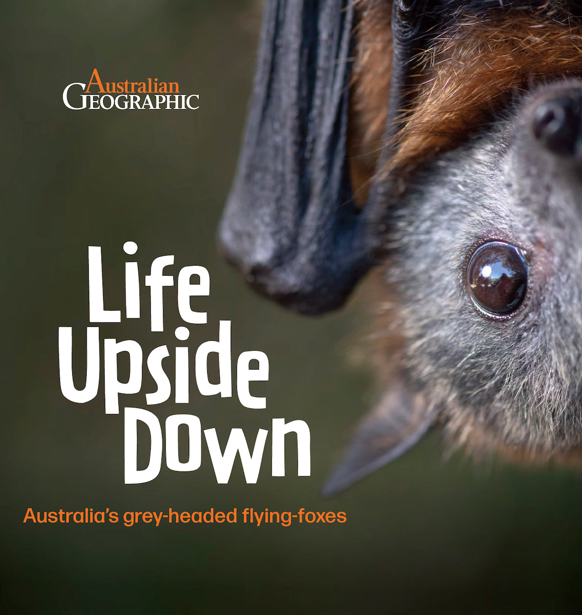 Life Upside Down by Doug Gimesy and Heather Kiley