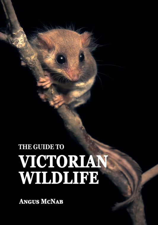 The Guide to Victorian Wildlife by Angus McNabb