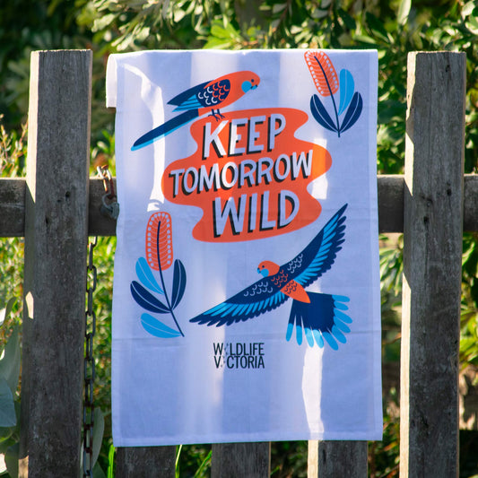 'Keep Tomorrow Wild' Cotton Tea Towel