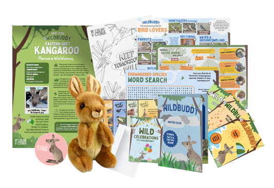 Adopt a WildBuddy