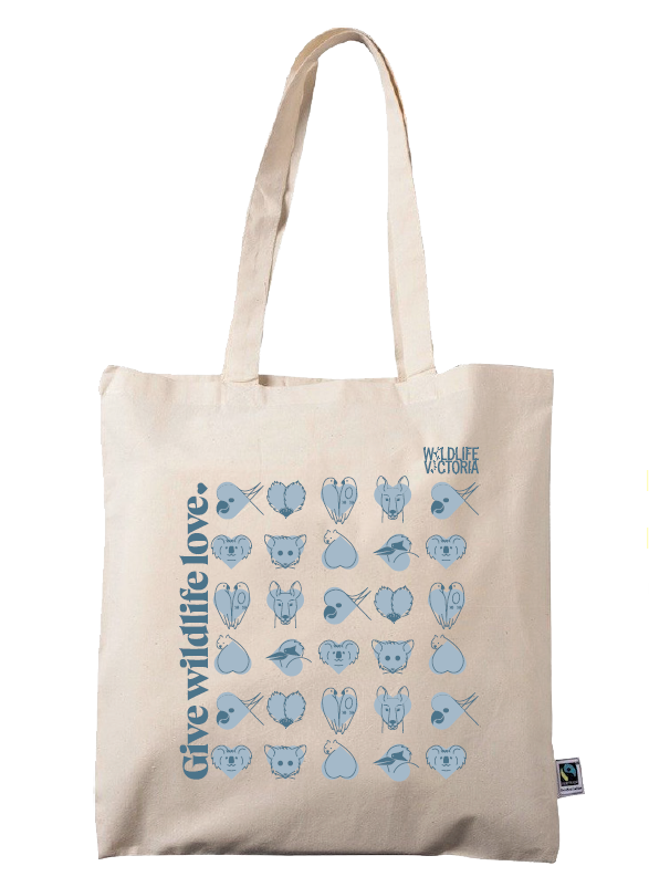 Tote Bag - Coastal storm